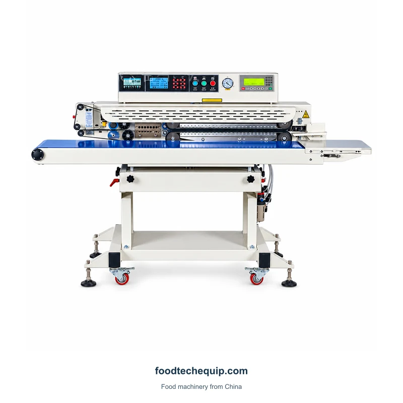 Continuous Vacuum and Gas-Flushing Sealer equipment view
