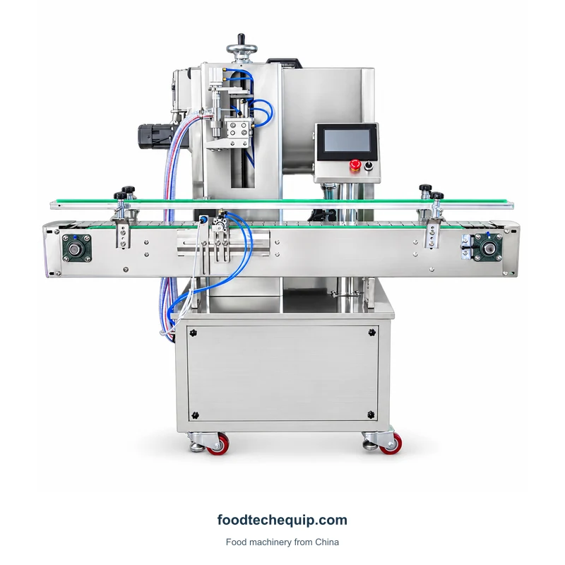 Inline Rotary Pump Filling Machine equipment view